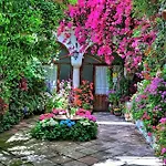 Lejlighed Premium! Jardines De Orive 1 *